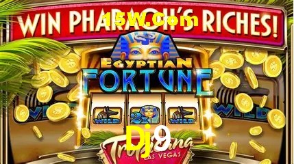 Design Responsivo Dj9